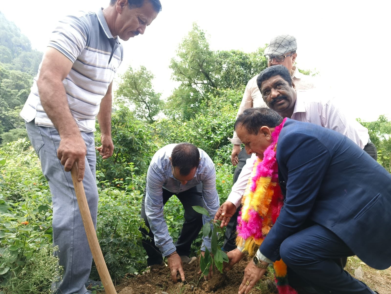 Plantation drive by the Organization in August 2026